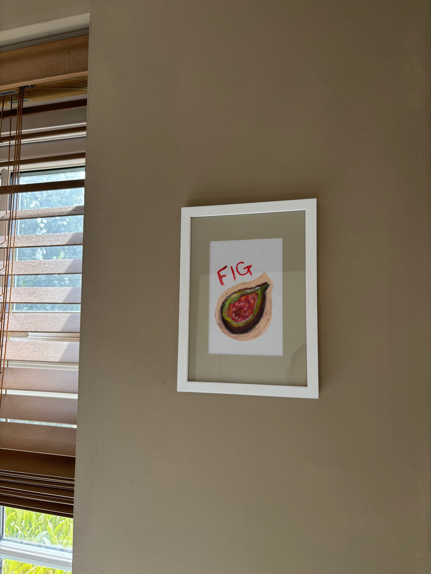 Fig