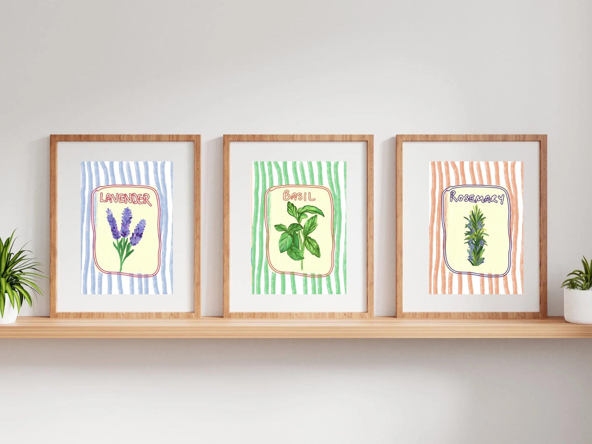 Herb Garden Collection - Lavender, Rosemary and Basil