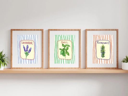 Herb Garden Collection - Lavender, Rosemary and Basil